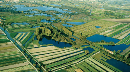 Le marais audomarois, un dédale aquatique hors du temps (Pas-de-Calais)