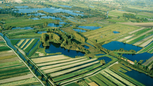 Le marais audomarois, un dédale aquatique hors du temps (Pas-de-Calais)