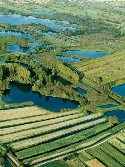Le marais audomarois, un dédale aquatique hors du temps (Pas-de-Calais)