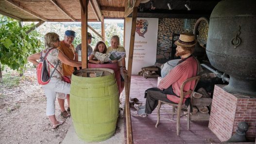 Charente: cinq expériences inédites pour découvrir cognac et pineau autrement