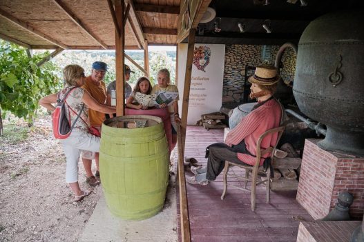 Charente: cinq expériences inédites pour découvrir cognac et pineau autrement