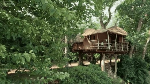 Dormir dans les arbres en Ille-et-Vilaine : la parenthèse suspendue des cabanes des Ormes