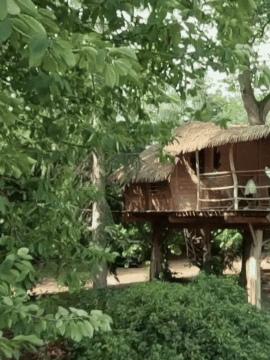 Dormir dans les arbres en Ille-et-Vilaine : la parenthèse suspendue des cabanes des Ormes