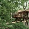 Dormir dans les arbres en Ille-et-Vilaine : la parenthèse suspendue des cabanes des Ormes