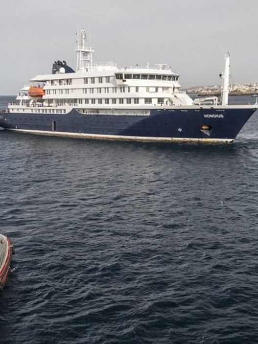 Hantavirus en croisière : six cas confirmés à bord du MV Hondius