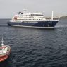 Hantavirus en croisière : six cas confirmés à bord du MV Hondius