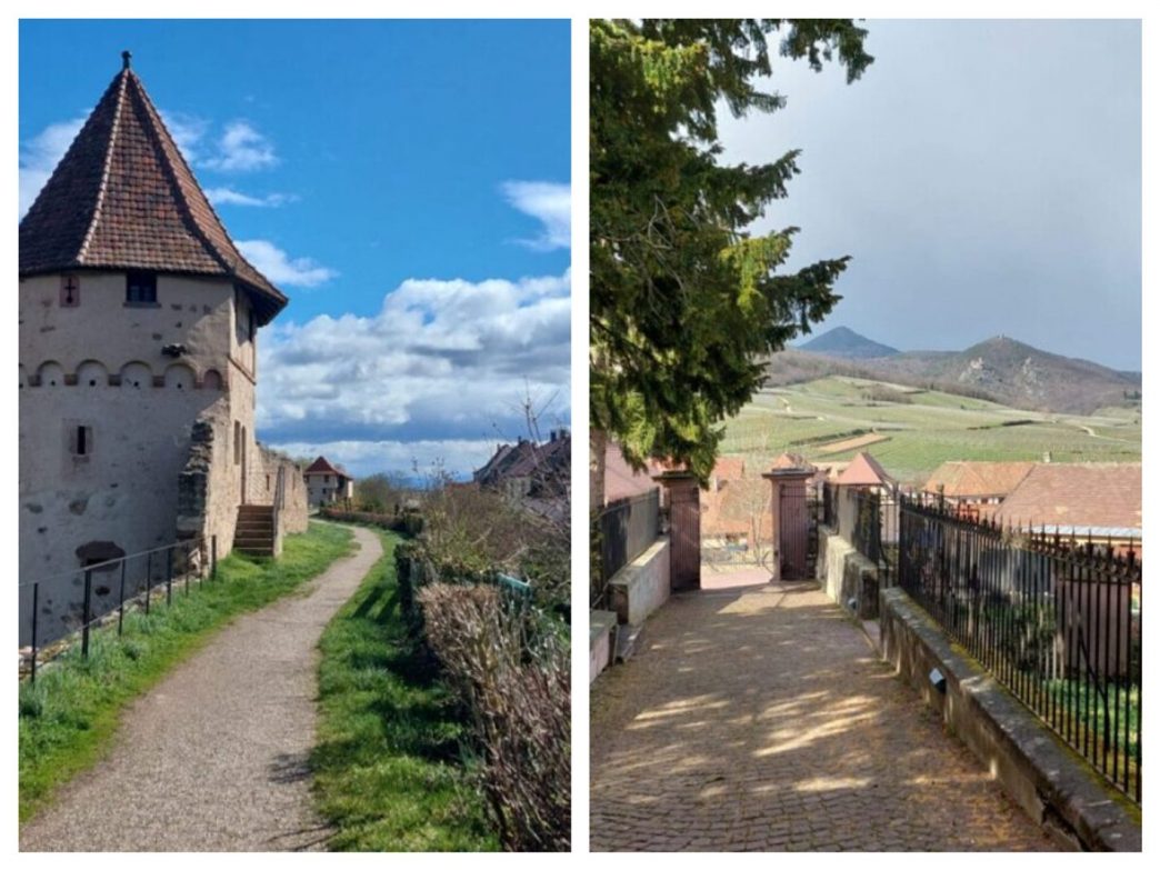 Haut-Rhin : quatre villages alsaciens parmi les plus beaux de France