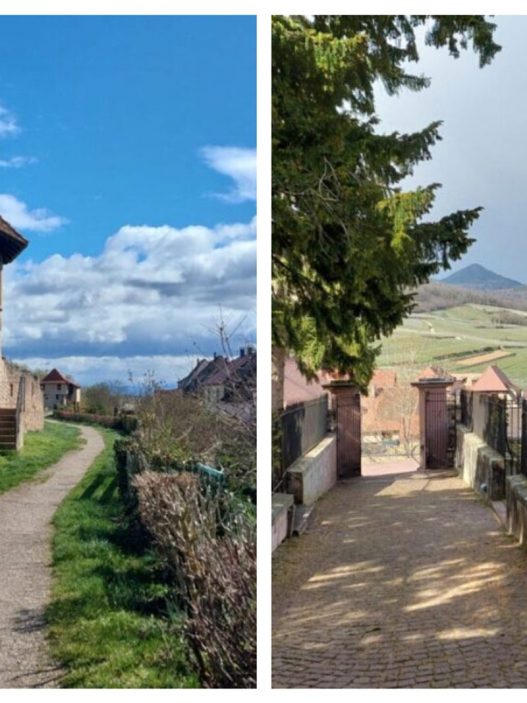 Haut-Rhin : quatre villages alsaciens parmi les plus beaux de France