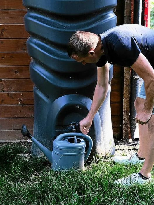 Le Glamping Terre et Mer : luxe et sobriété écologique dans les Côtes-d'Armor