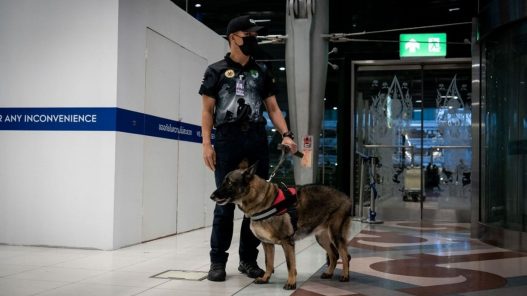 Le piège du « Plan Thaïlande » : quand le voyage gratuit mène à la prison