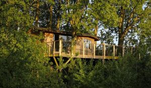 Échappée sylvestre : des cabanes d’exception nichées dans les arbres près de Lille