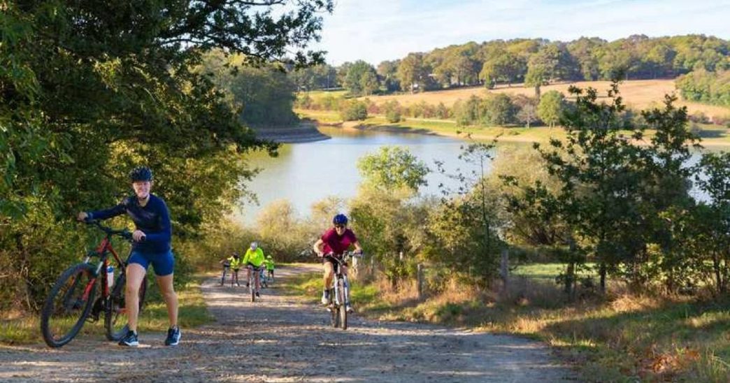 Nantes : la cité des Ducs consacrée par le label « Destination France à vélo »