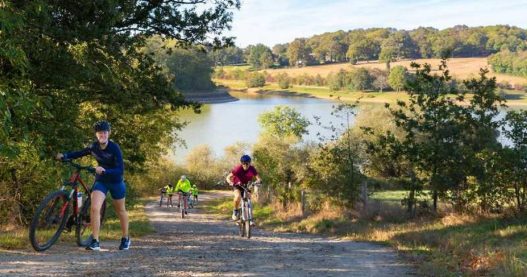Nantes : la cité des Ducs consacrée par le label « Destination France à vélo »
