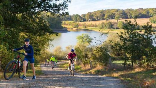 Nantes : la cité des Ducs consacrée par le label « Destination France à vélo »