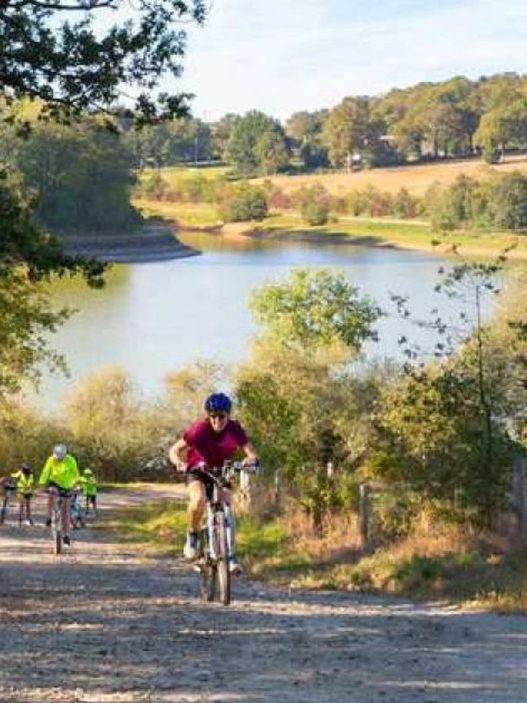 Nantes : la cité des Ducs consacrée par le label « Destination France à vélo »